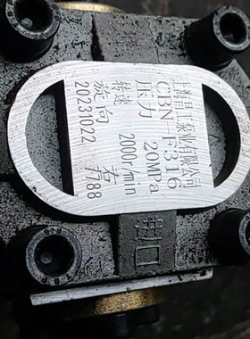 上海昌工泵业CBN-F316-F314/CBN-F306/CBN-F310/CBN-F320/CBN-304