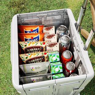 外露营车便餐携式叠拉杆小AW—158-推车旅行外出野零食折式户大容