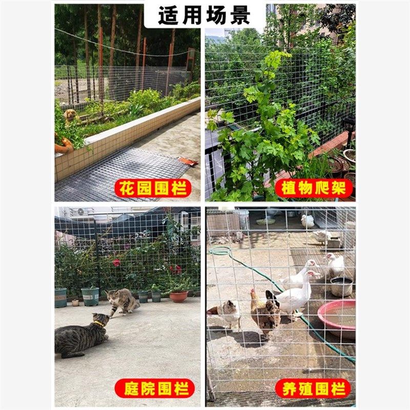 镀锌铁丝电焊网片小孔养殖围栏钢丝网养鸡狗笼加粗建筑铁网格栅栏,金属材料及制品,丝网/金属网,淘宝优惠券,粉丝福利购,淘宝优惠卷