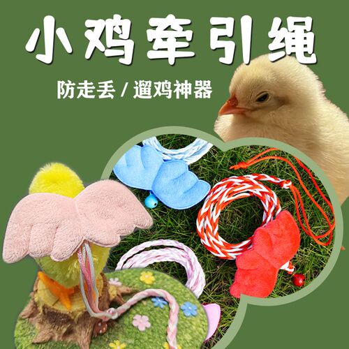 小鸡牵引绳外出防走丢失遛鸡鸭鹅绳子溜芦丁鸡外带绳小宠物专用