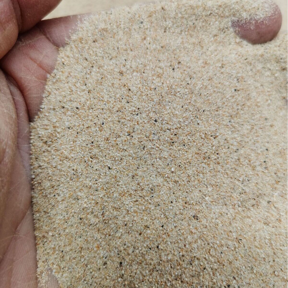 化工厂循环水过滤器用石英砂滤料焦化厂污水过滤用天然海砂滤料