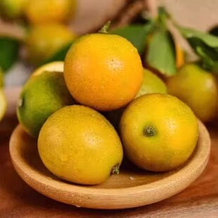 正宗广西桂林滑皮金桔9斤整箱柑橘新鲜水果0包邮5斤脆皮金桔