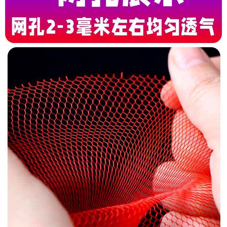 鸡蛋网兜袋邮装鸡蛋包的塑料小网10037522眼尼龙编织超市包袋网装