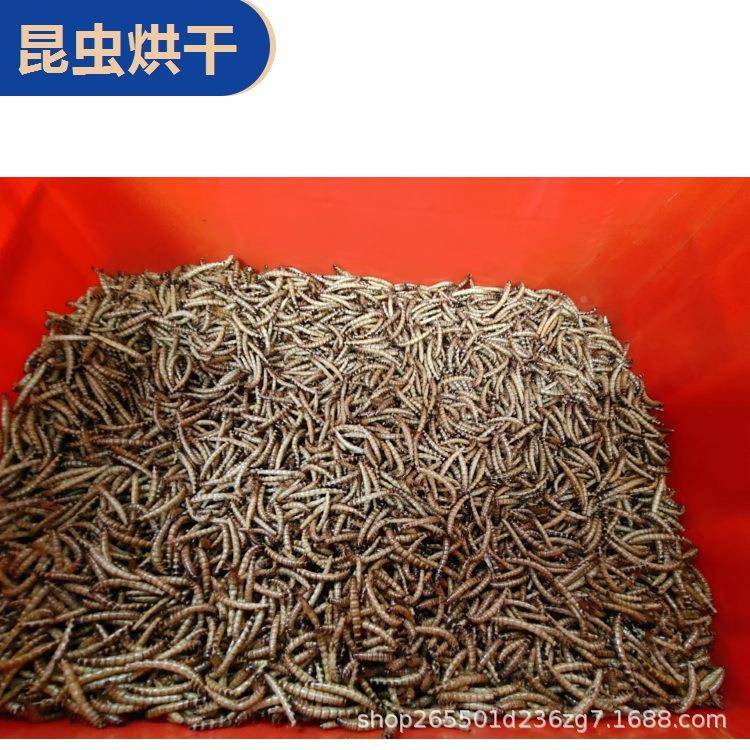虫黑水虻微波干麦燥设备昆微波大虫水微波VST-30MV烘干脱机