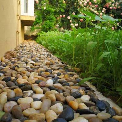 雨抛色24073102光雨花石黑鹅卵石园艺装饰造庭院铺路精品花石景石