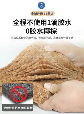 床天垫然椰棕家榈用定制可硬垫护腰护脊棕垫宿舍VSP配套榻榻米乳