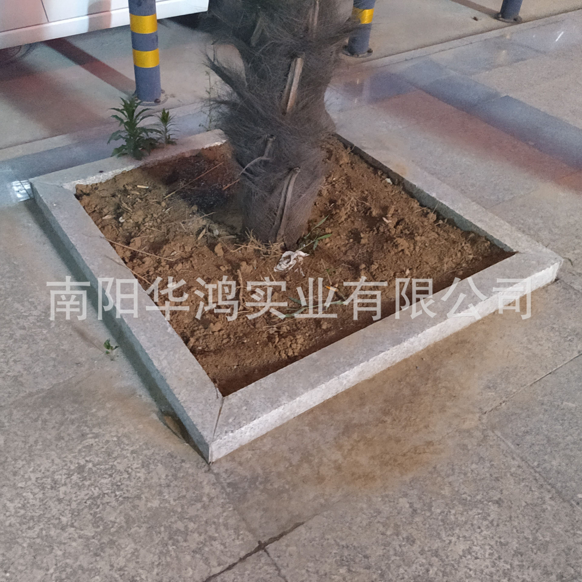 珍珠灰树围石河南梨花红小铁灰石材厂家内乡石材城路沿石树坑石