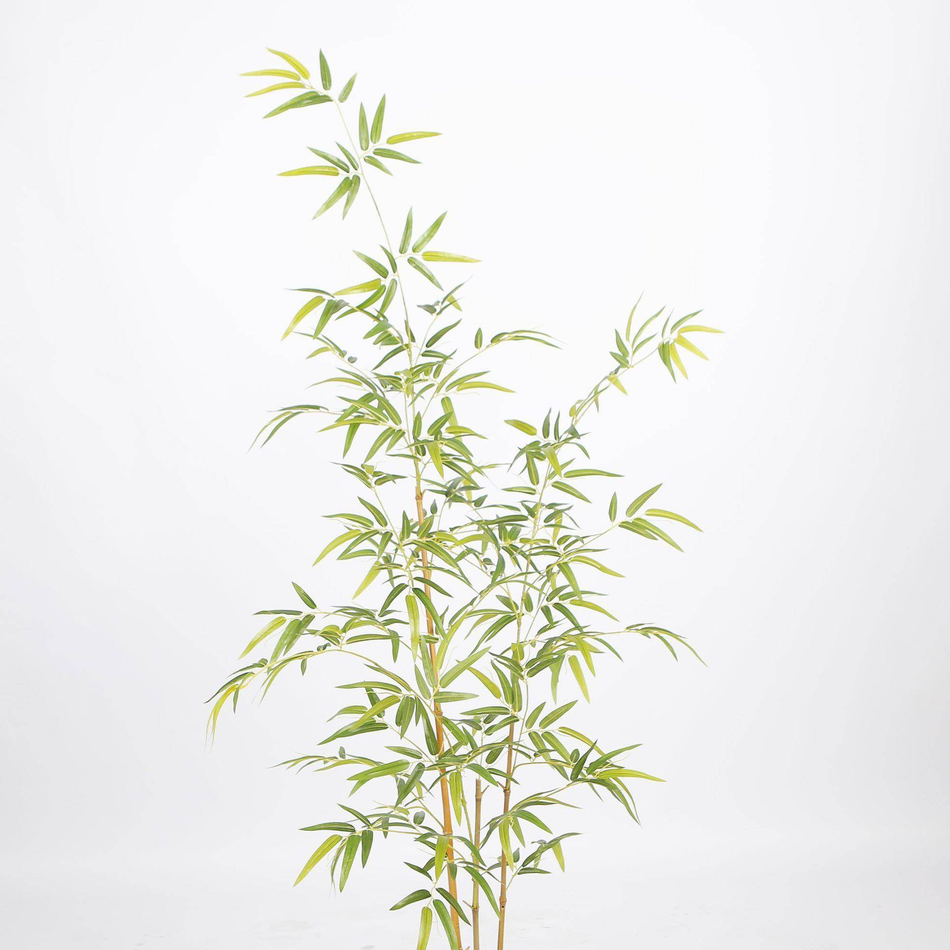 外仿真竹子装造景Y8474-5-假竹子仿真植物竹叶装饰隔断饰挡室墙仿