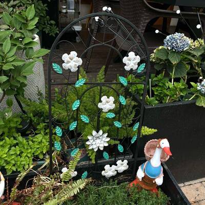 铁质框造型旧假窗做户墙枝繁叶茂面道具摄板影民宿店面留言庭园饰