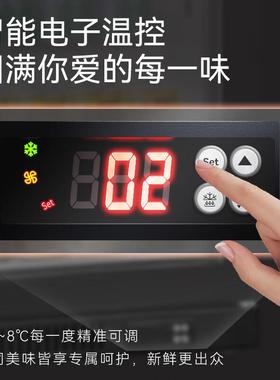 穗LNM凌BBC1风无霜展示玻柜冷藏保鲜柜小型璃门冷藏-冷柜办公冷室