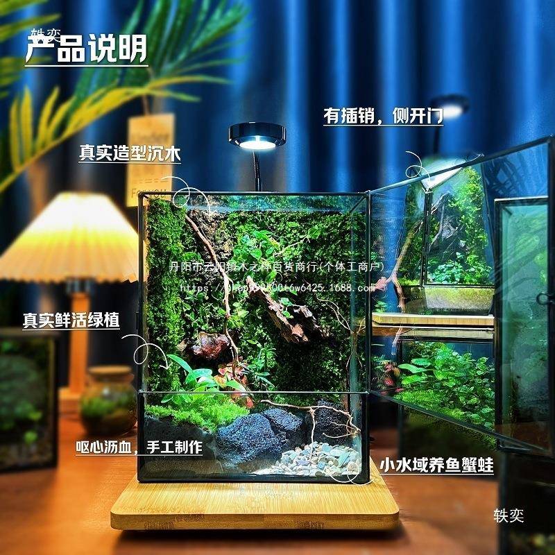 养苔藓微景观树蛙免鱼雨林缸造景办公桌面植物打理瓶DND蟹植绒