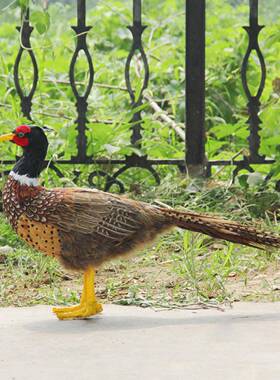 紫麟花仿真山鸡园工摆饰园艺动物摆设羽毛艺品创Zl-867意家居装饰