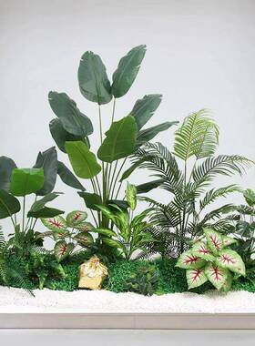 仿真绿植景办公WMQ室楼下假旅人蕉组梯橱窗仿合生植物造景观室内