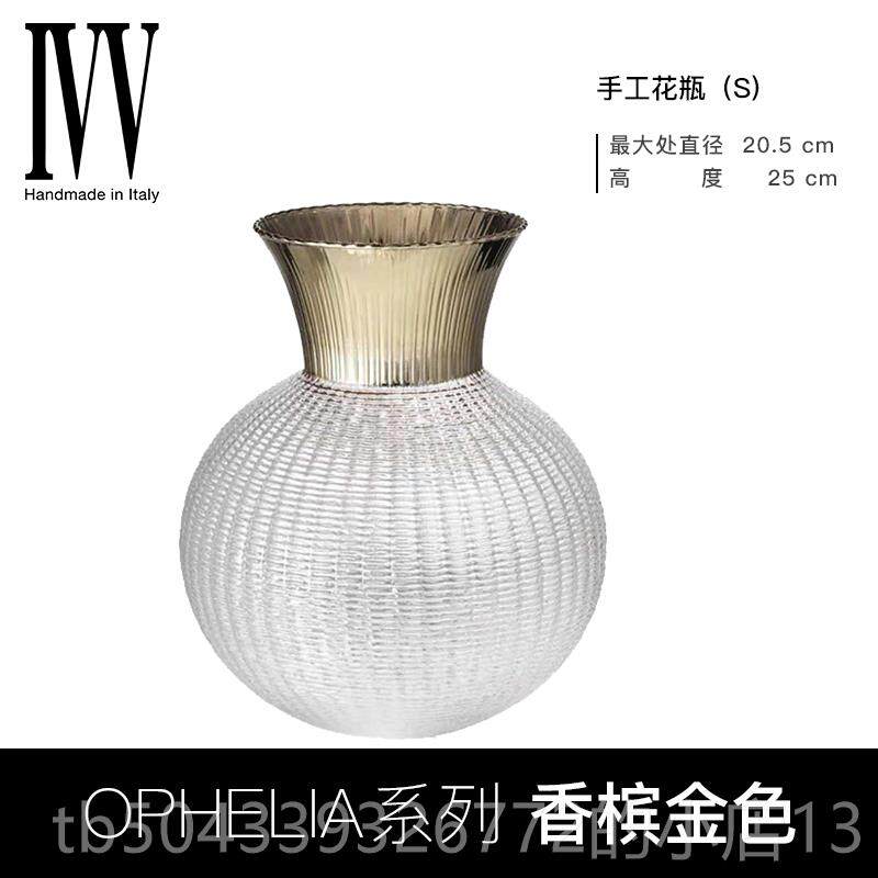 高档意利口IV水V晶玻璃花进瓶轻奢摆件客厅水养大插花瓶居家桌面C