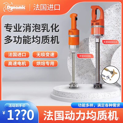 法国进口DYNAMIC大型手持搅拌机酒店餐厅浓汤均质机DMX300 410