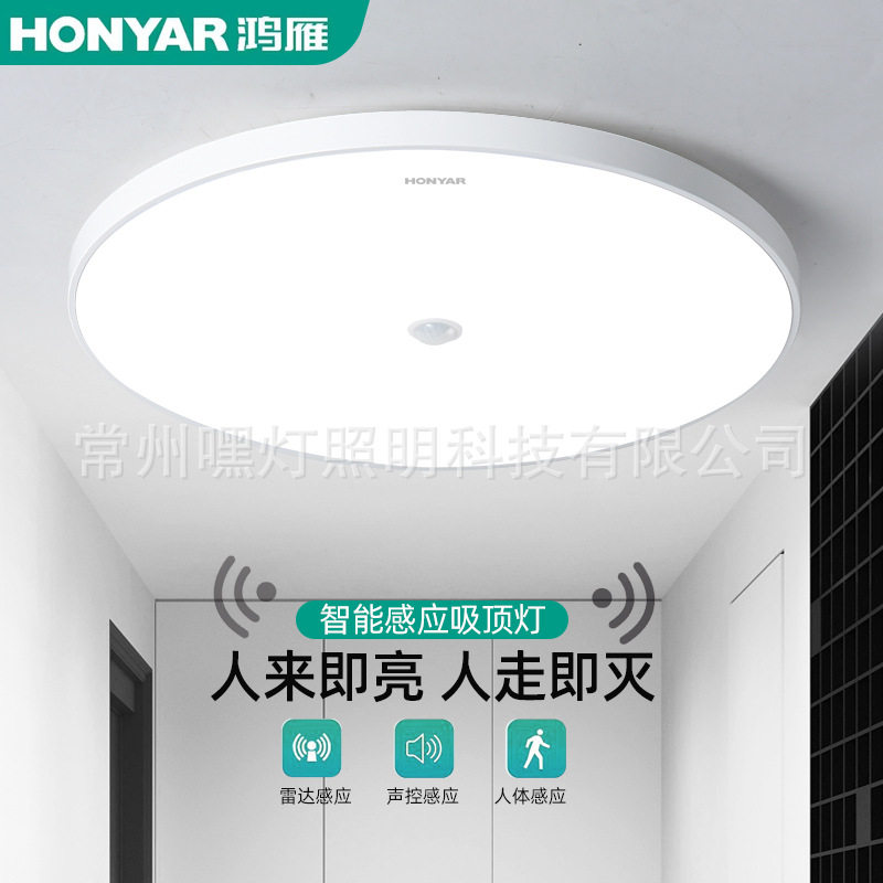 鸿雁人体感应吸顶灯雷达声光控带光控感应过道楼梯应急照明延时30