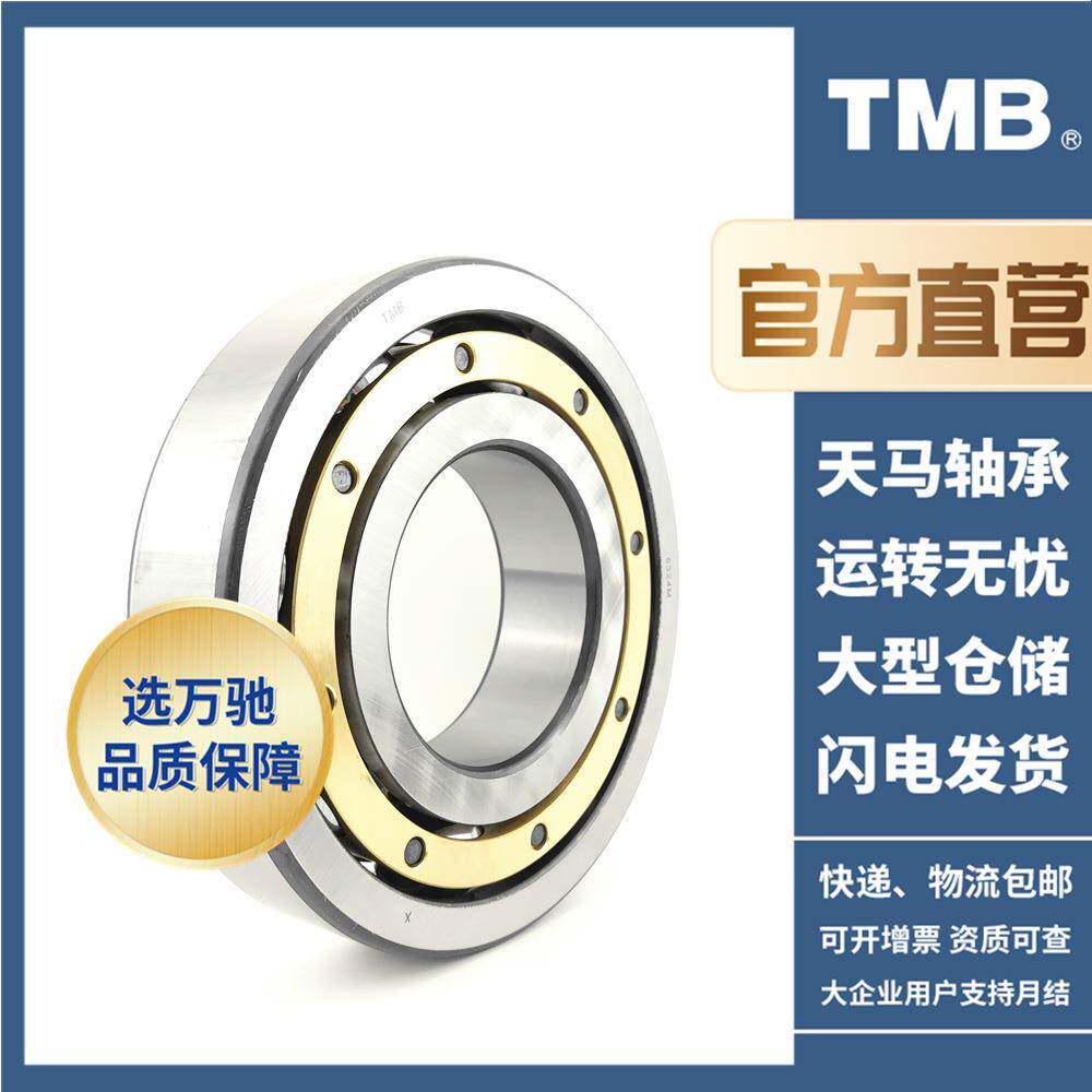 TMB/天马轴承6056M高速电机长寿命低噪单列深沟球轴承通用