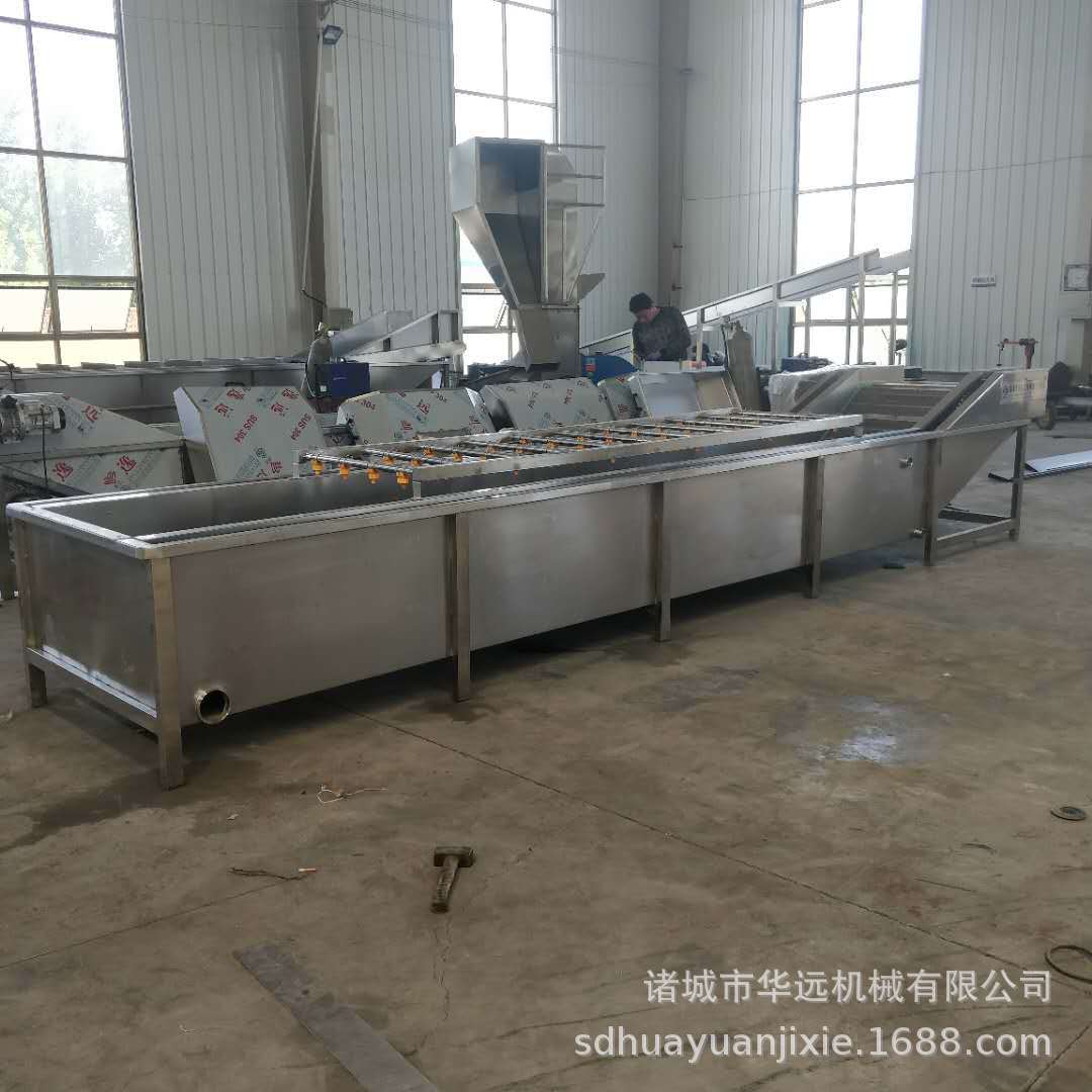 果蔬清洗去泥流水线专业设备