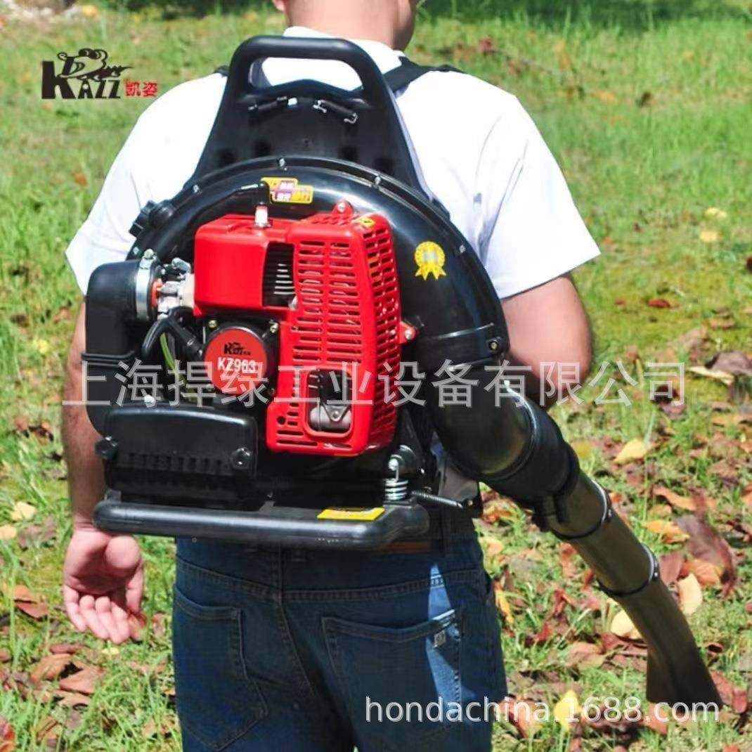凯姿（AZZ）KZ63背负式二冲程油大功率汽大棚吹雪WUX机9风力灭火K