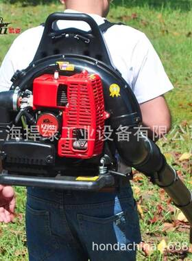 凯姿（AZZ）KZ63背负式二冲程油大功率汽大棚吹雪WUX机9风力灭火K