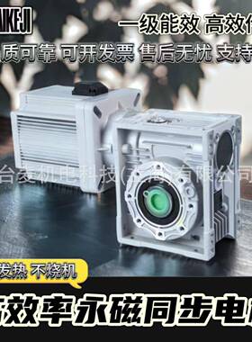 3110法电机000W2兰20V3000NAR大功率自动化永磁同步温度可非转标