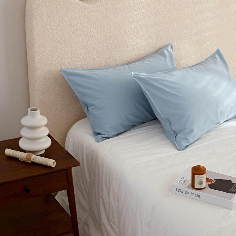 加秋EH冬磨毛套一对装素色全棉纯棉枕头套色整套厚枕纯头袋枕48*7