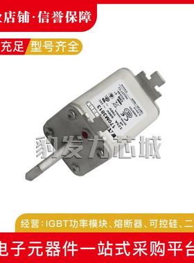 1730M038141703815NTZ170M81617M3817170MM3818170M3819熔断器