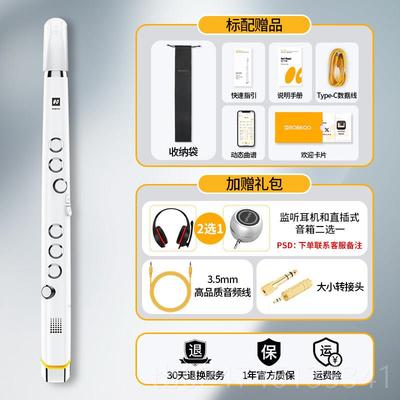正品RO初BKOO锣钹新款小笛吹管国产真空管真采样电电笛小萨克斯学