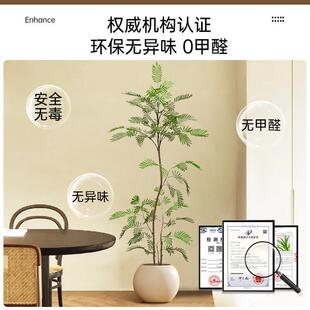 仿真绿植蓝花楹轻奢客厅盆栽大型仿生植物密叶猴耳环假树落地