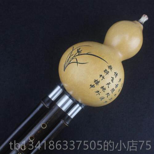 正品葫芦丝云南桑洛紫竹初学考级专演童学业生成儿人DC奏降BAGF调