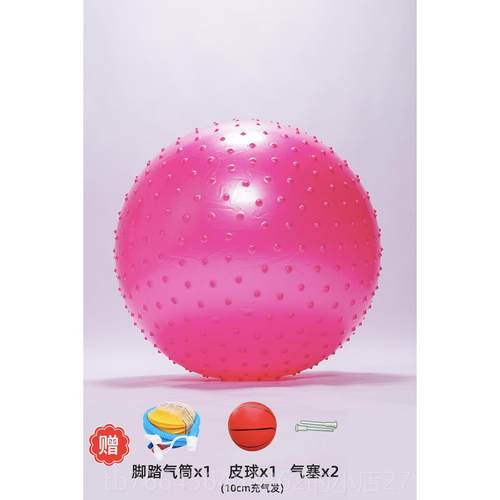 新款儿感教官训练按摩瑜童球伽龙珠早平衡球玩具设备粒子笼龙珠