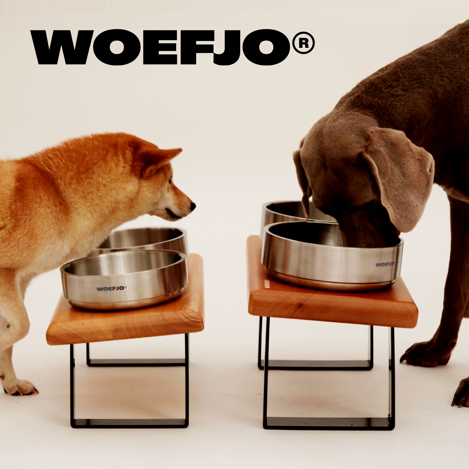 WOEFJO实木狗狗餐桌中大型狗碗