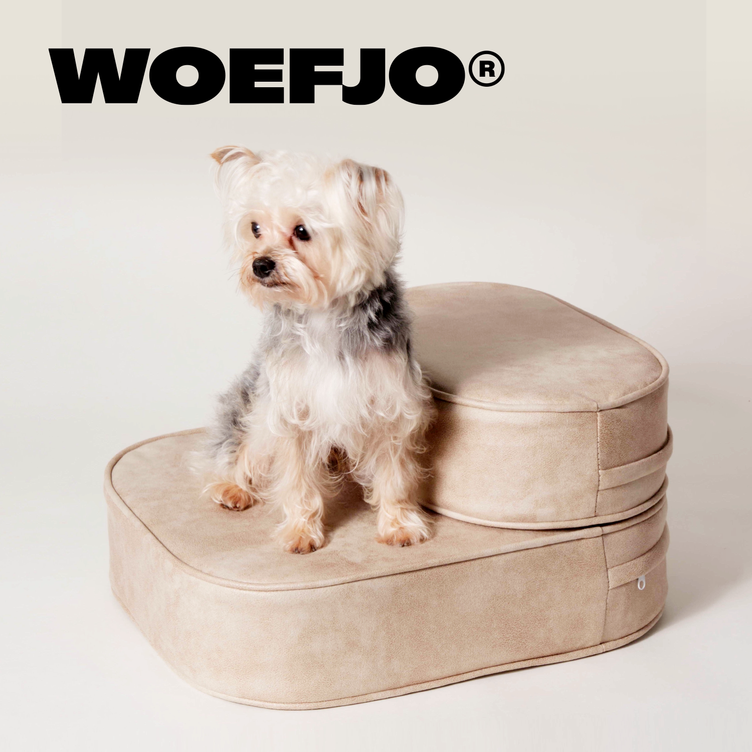 WOEFJO狗狗台阶高密度海绵三防布