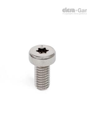 ElesaGanter伊莉莎冈特GN带QEC184.3钢偏心夹紧螺钉制内六角