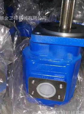柳工50CN装载11机CLZC2321齿轮泵8200C转向泵112308