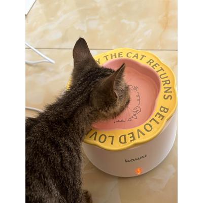 猫咪恒温饮水机冬季喂水加热罐头喝水酸奶机保温防冻饮水器宠物