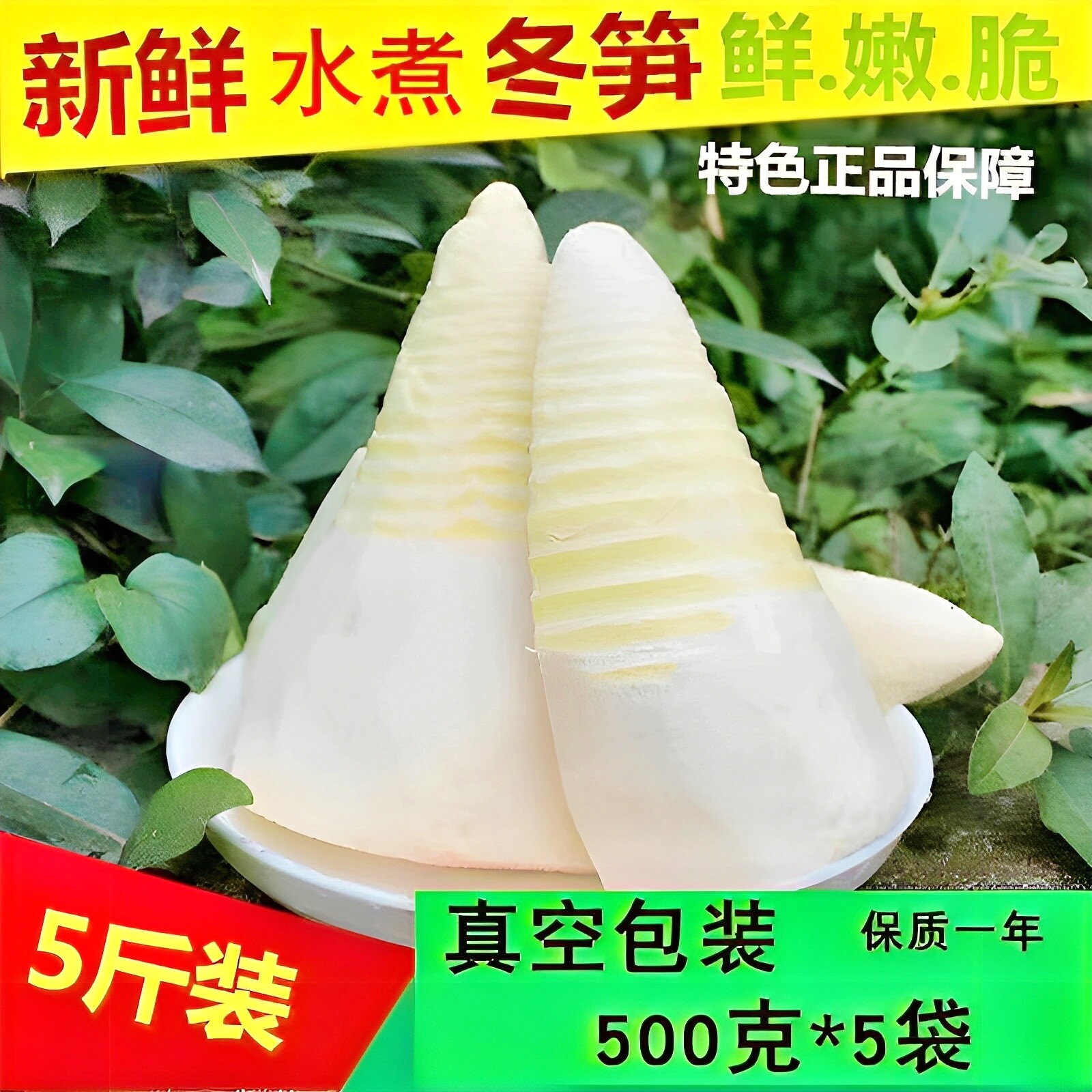 乐安竹笋水煮冬笋新鲜水煮笋尖真空包装500g*5袋江西特产嫩笋尖