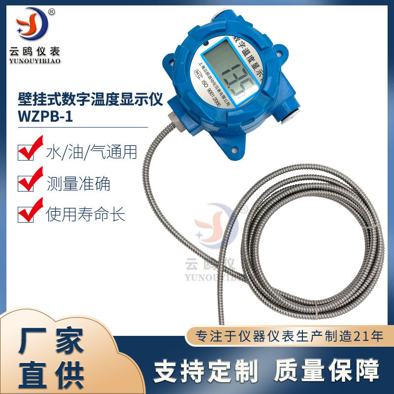 壁挂式PT100数字温度显示仪