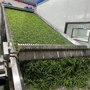 洋姜烘干机大型自动烘生姜机姜不辣菊芋洋姜清洗切片烘干生产线