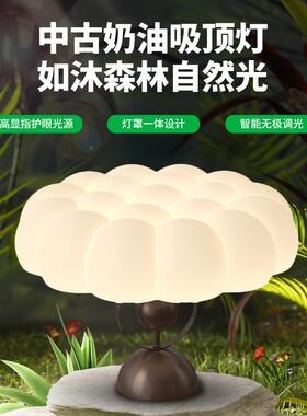 大观园卧室顶灯中古护眼主卧房灯创意新中风式书房山灯80682具2吸