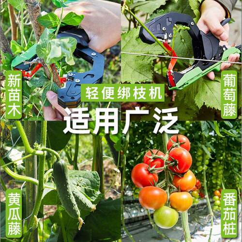 轻便新款枝机葡萄西瓜红柿黄猕猴桃蔬菜绑蔓绑钉子机捆枝钉子261
