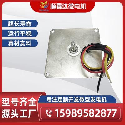 100W发脚电机/微器型电发机健身材AAP/踩发电机