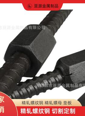 M52精轧螺母M32轧垫ZTZ板M6精轧连接器3M40精轧螺旋精筋
