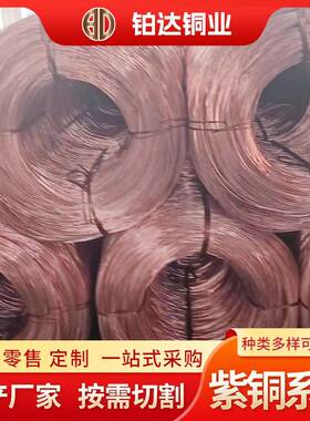 T1T紫铜铜丝厂家O.QVG1-0.7mm软红铜丝2导电电缆用硬C1100紫线