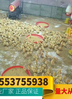 暖YQP风专业生产局部机采暖柴油暖风5机00工平方业暖风机