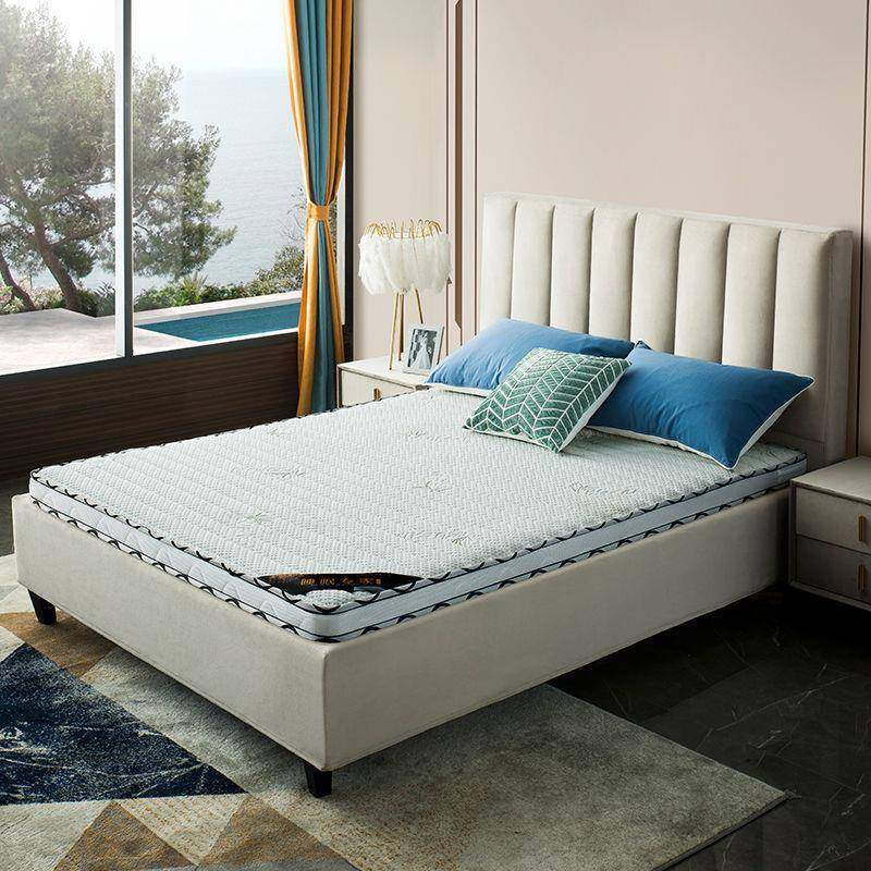 棕床人垫双1.8m椰厚1TDA.5m棕垫加偏硬棕榈床垫子经济型折叠电商,标准件/零部件/工业耗材,车间地垫,淘宝优惠券,粉丝福利购,淘宝优惠卷