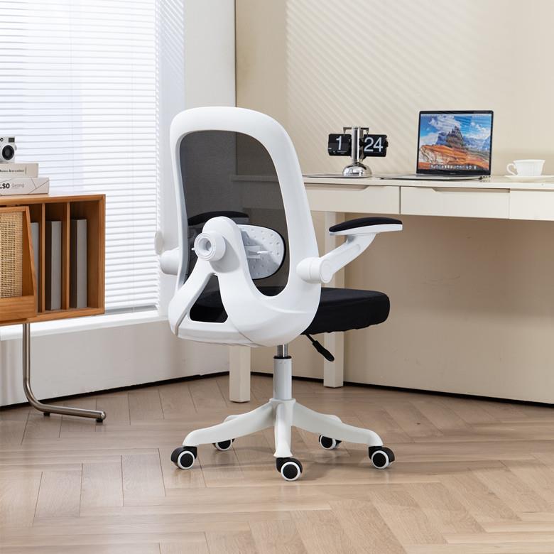 人体工学坐椅电脑椅写家用字椅椅久舒适电竞椅宿舍子学DM16习椅办