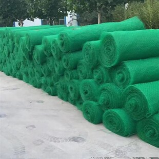 三维植被网护坡固土网三维网垫绿化高速边坡生态植草网源头厂家