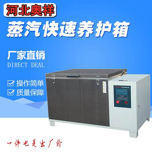 蒸汽快速养护箱ZKY-400型混凝土试件蒸汽养护箱内外不锈钢养护箱