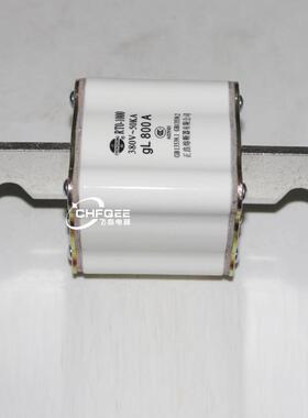 正浩险RTORT0-10988000100A保900A800A7300A650A80V熔断器芯